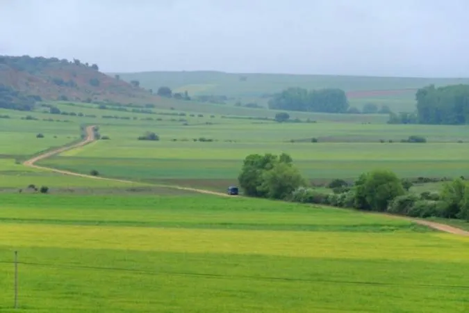 Casas De Yagüe, Ayllón Casa de Férias
