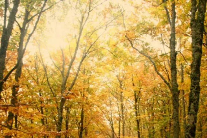 Casas De Yaguee, Ayllon Ferienhaus Santa Maria de Riaza